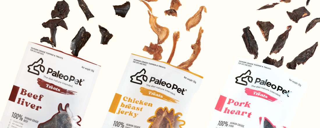 Paleo Pet Treats: 5 Reason Why Your Dog Will Love Them!