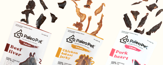 Paleo Pet Treats: 5 Reason Why Your Dog Will Love Them!