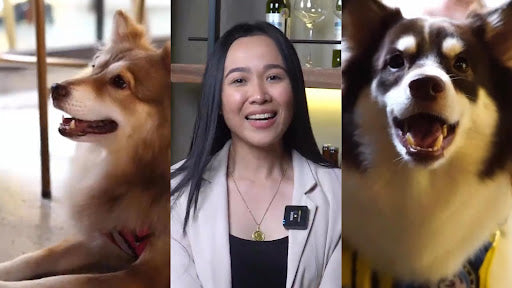 How Karen Toyoshima is Advocating for Animal Welfare (With Paleo Pet Meals)