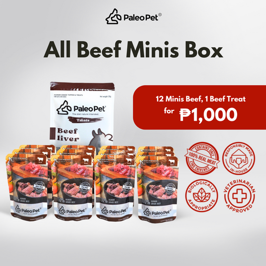 All Beef Minis Box