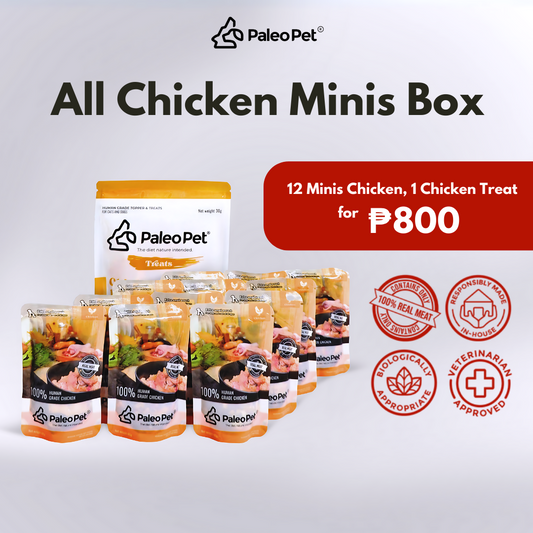 All Chicken Minis Box