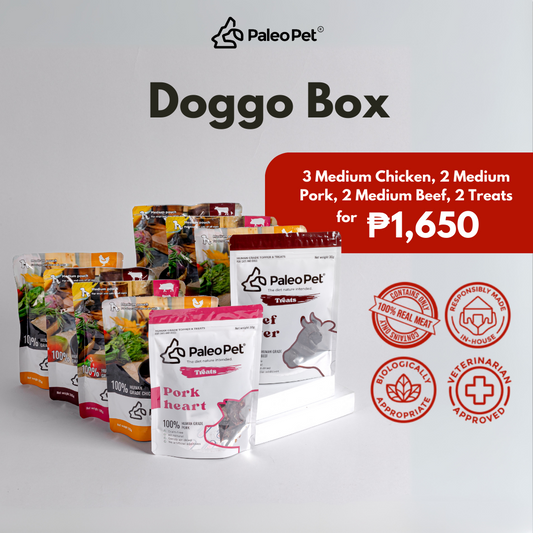 Doggo Box