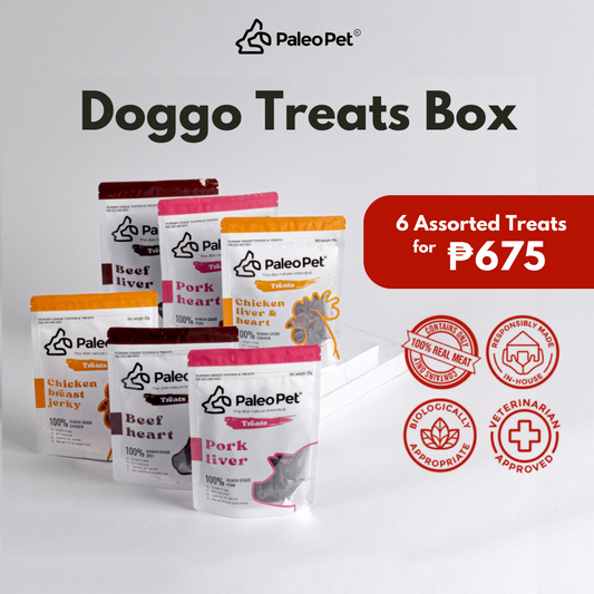 Doggo Treat Box