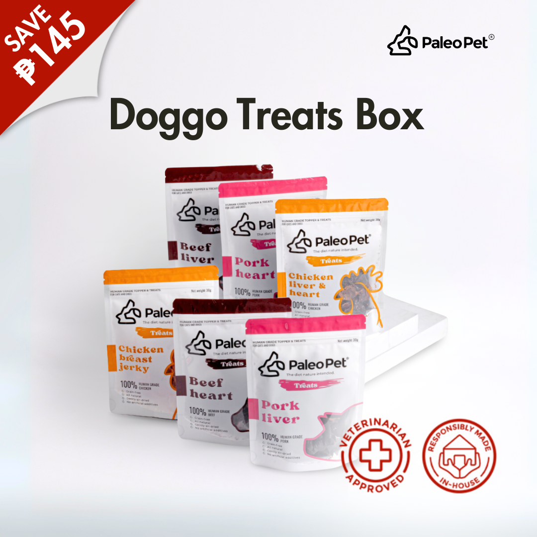 Doggo Box with Gently Air Dried Organic Dog Treats and Toppers Paleo Pet