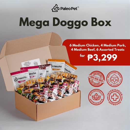 Mega Doggo Box