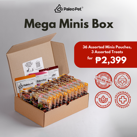 Mega Minis Box