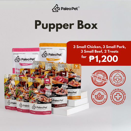 Pupper Box