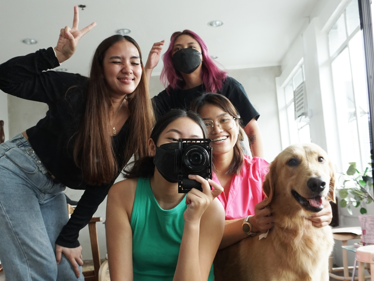 team pet lovers image