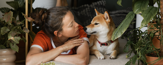 Is Human Grade Pet Food Really Better?