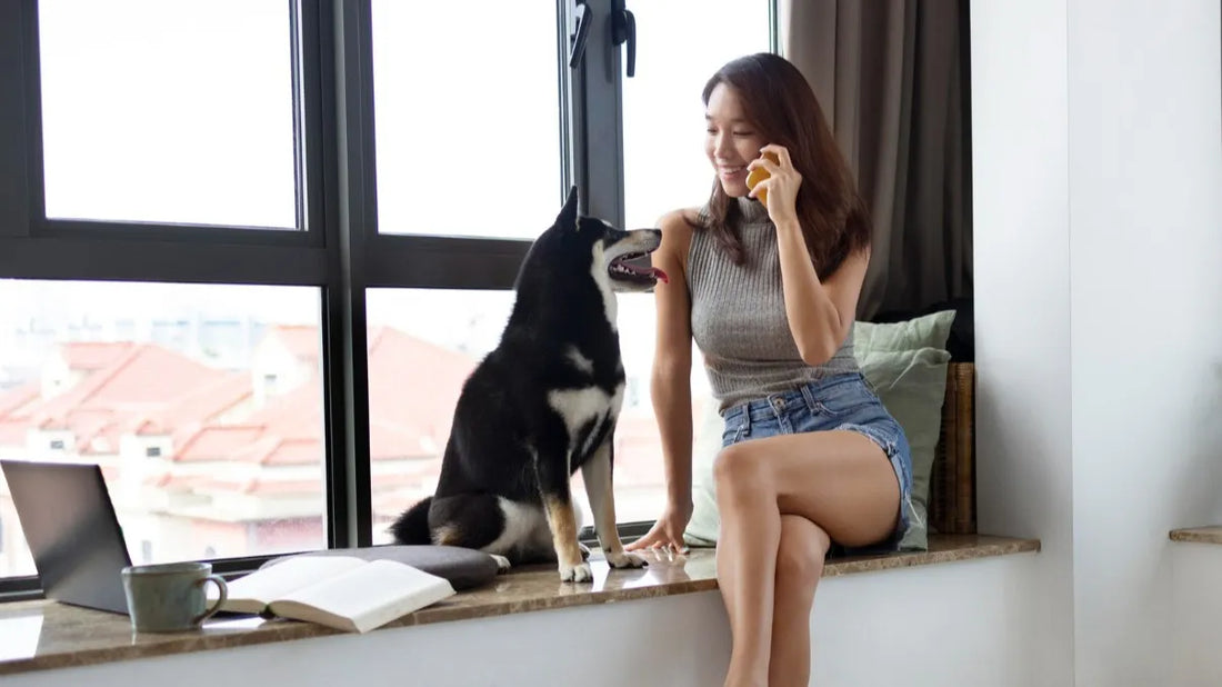 Woman with her dog by the window enjoying a calm food for dogs moment