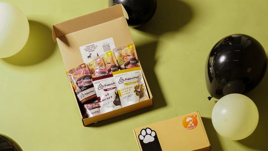 Open gift box filled with Paleo Pet dog food and treats