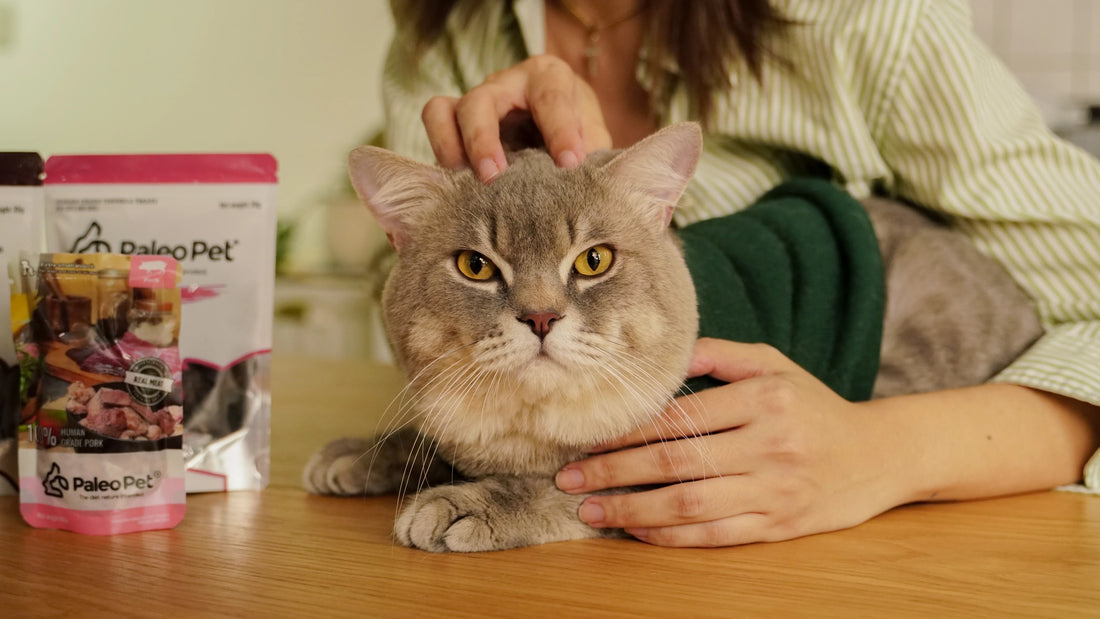 Pork Liver Benefits: A Simple Fact Check for Pet Owners