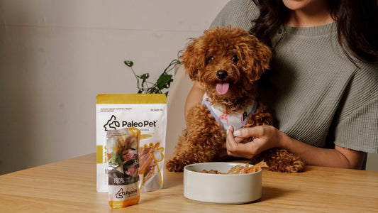 We Were at the Pet Express Warehouse Sale — Here's What Happened