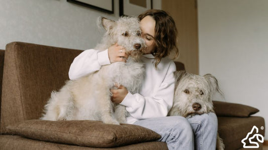 How Pets Can Improve Your Life (In More Ways Than You Think)