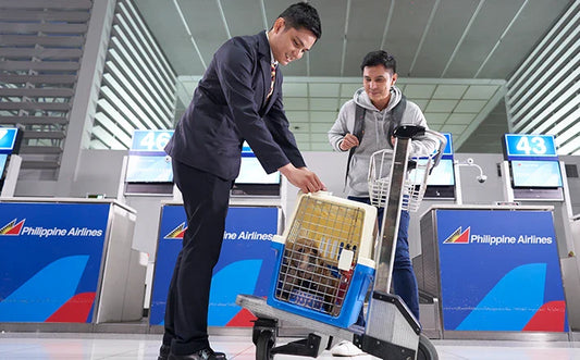 Paleo Pet x FurPAL: A Smarter and More Caring Way to Travel with Your Dog