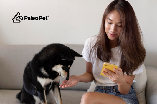 Where to Buy the Best Dog Food Brands in Metro Manila