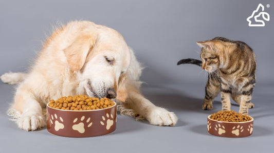 Better Food, Happier Pets: The No-Nonsense Feeding Guide