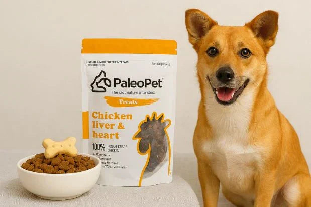 Dogs Diet Upgrade: Why Veterinarians Recommend Chicken Liver and Heart