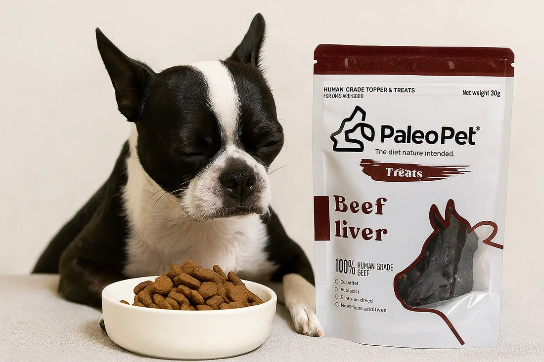 Picky Pet Tips for a Dog Picky Eater: Why They Stop Eating & Fixes – Paleo Pet
