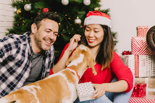 Healthy Holiday Gifting: Best Treats for Your Pet