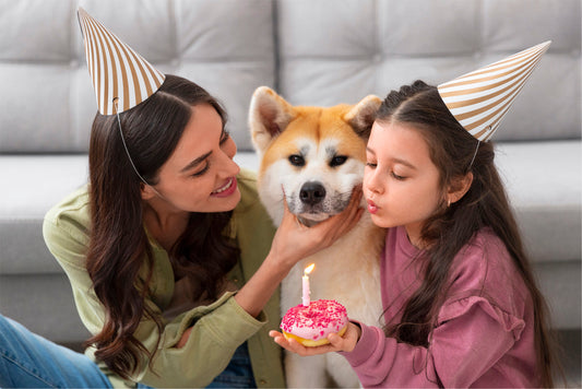 Why Year-End Is the Best Time to Stock Up on Pet Food