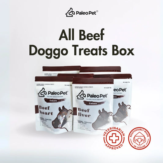 All Beef Doggo Treats Box
