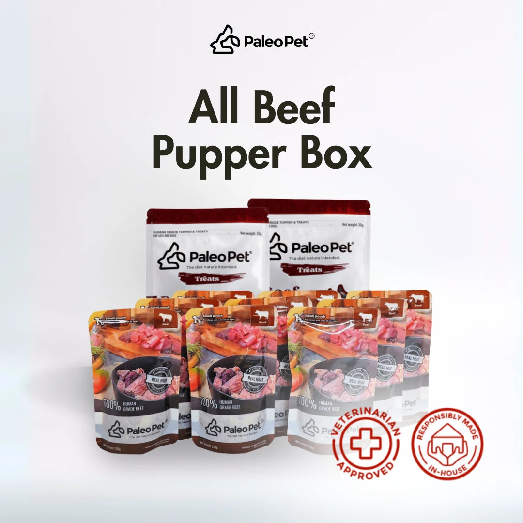 All Beef Pupper Box