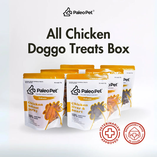 All Chicken Doggo Treats Box