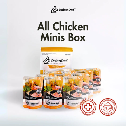 All Chicken Minis Box