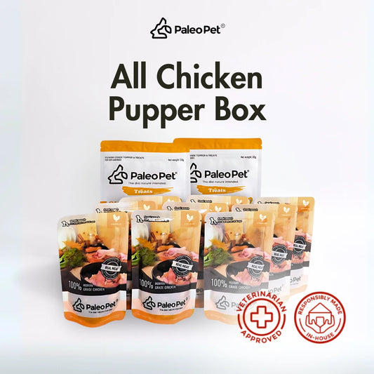 All Chicken Pupper Box