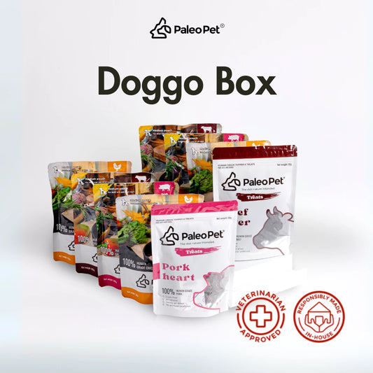 Doggo Box