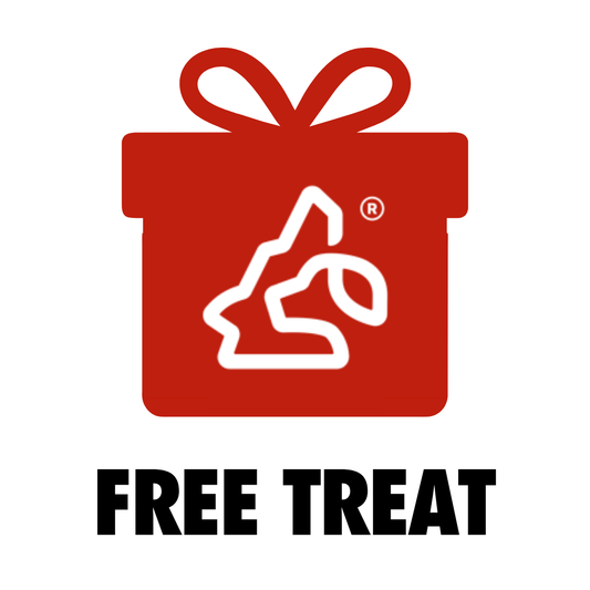 Free Surprise Gift