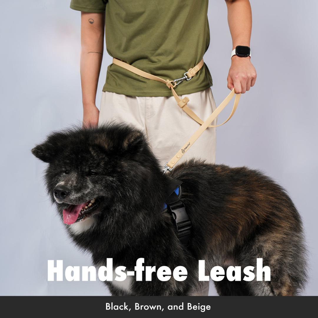 Paleo Pet Weather Proof Hands-Free Leash