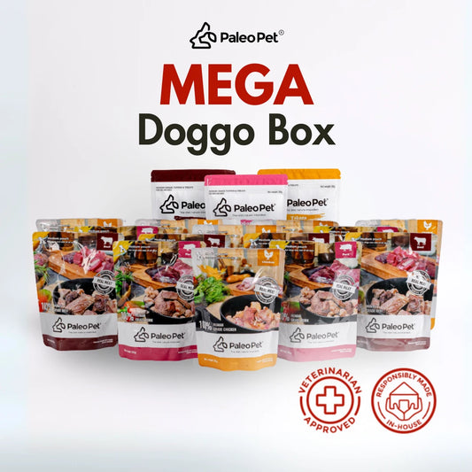 Mega Doggo Box