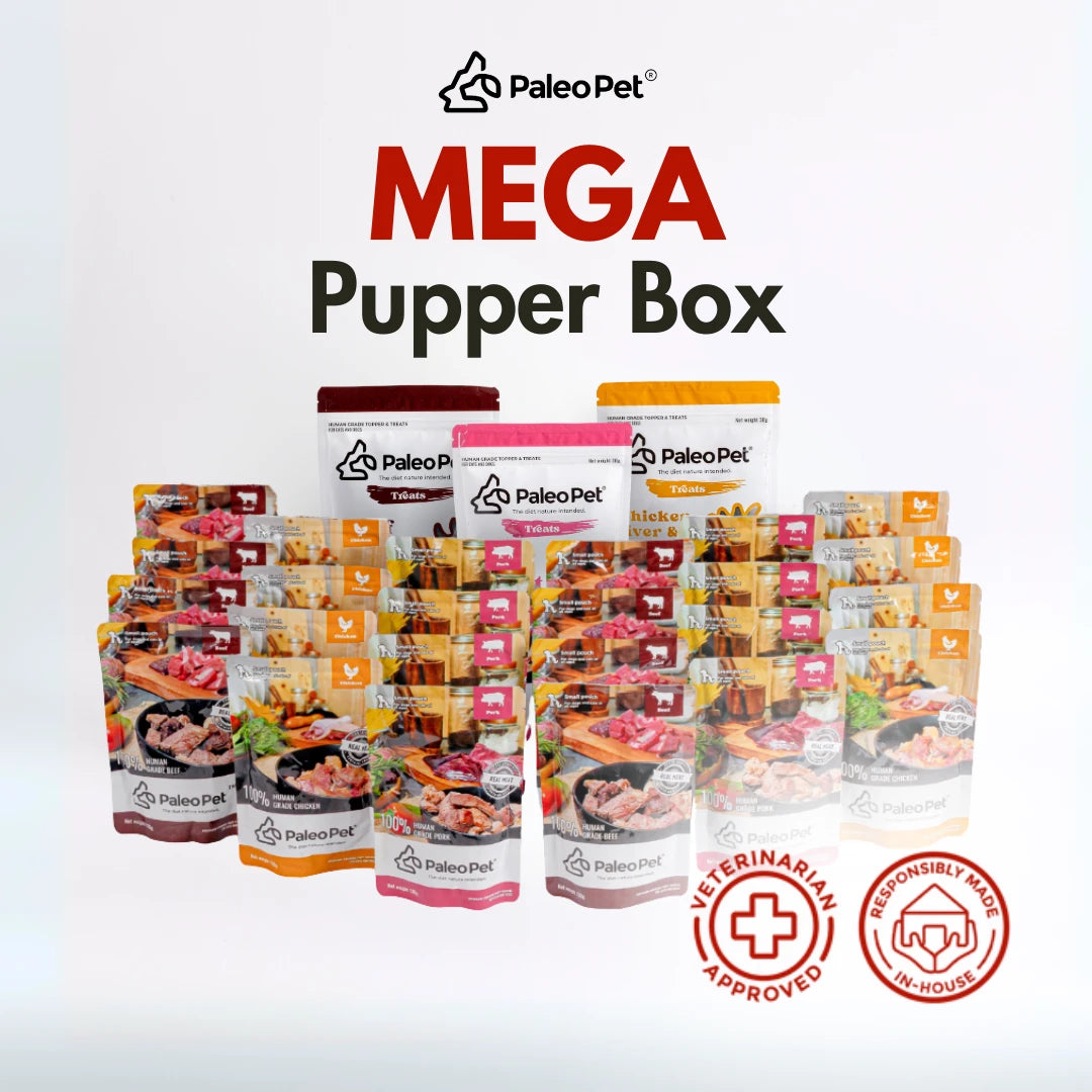 Mega Pupper Box