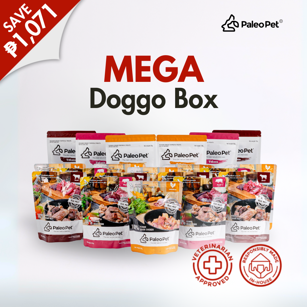 Mega Doggo Box