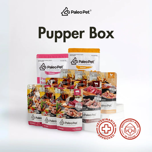 Pupper Box