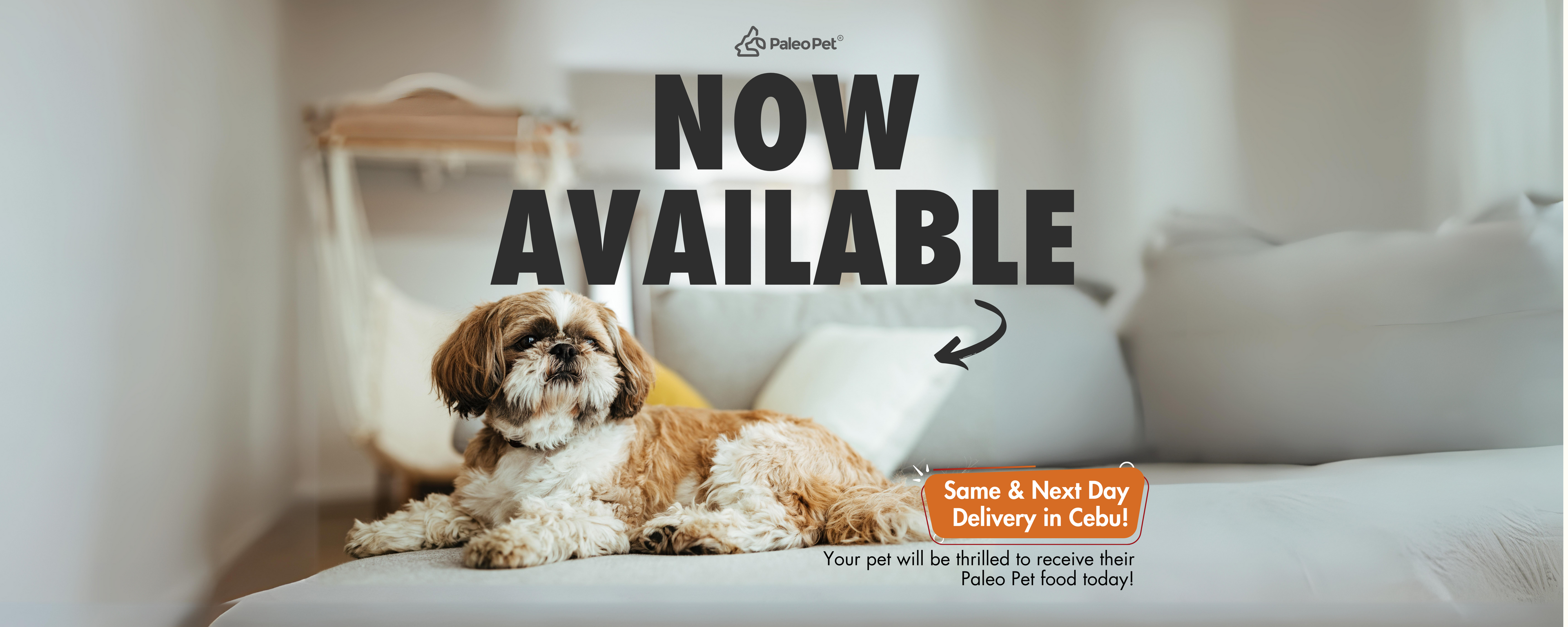 Pet food shop next day delivery